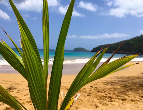 La tête à l'Anglais